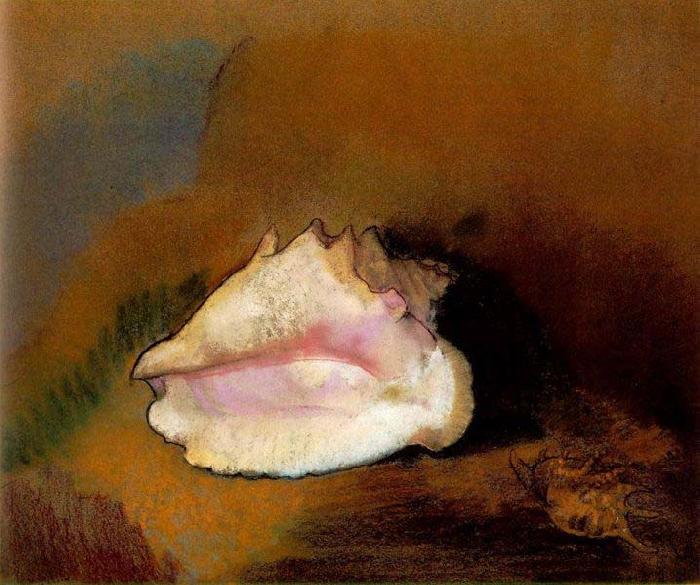 Odilon Redon Coquille Germany oil painting art